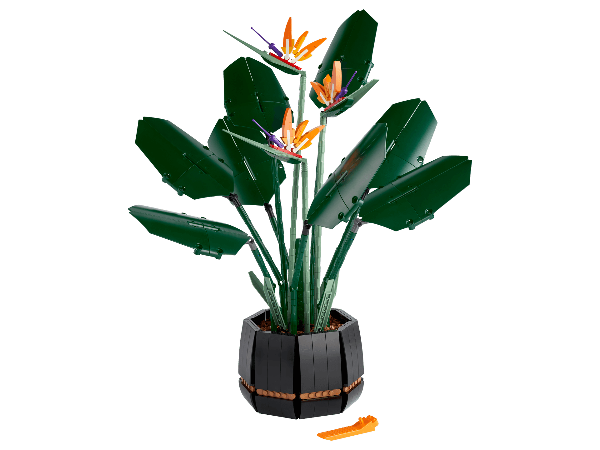 Bird of Paradise collectible