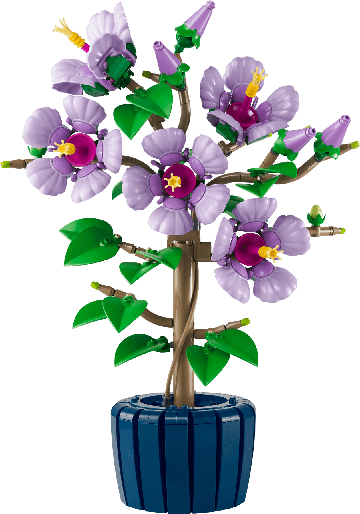 Hibiscus collectible