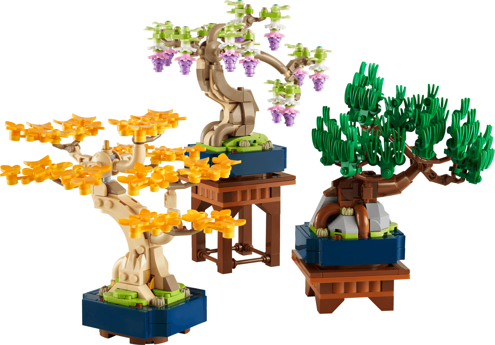 Mini Bonsai Trees collectible