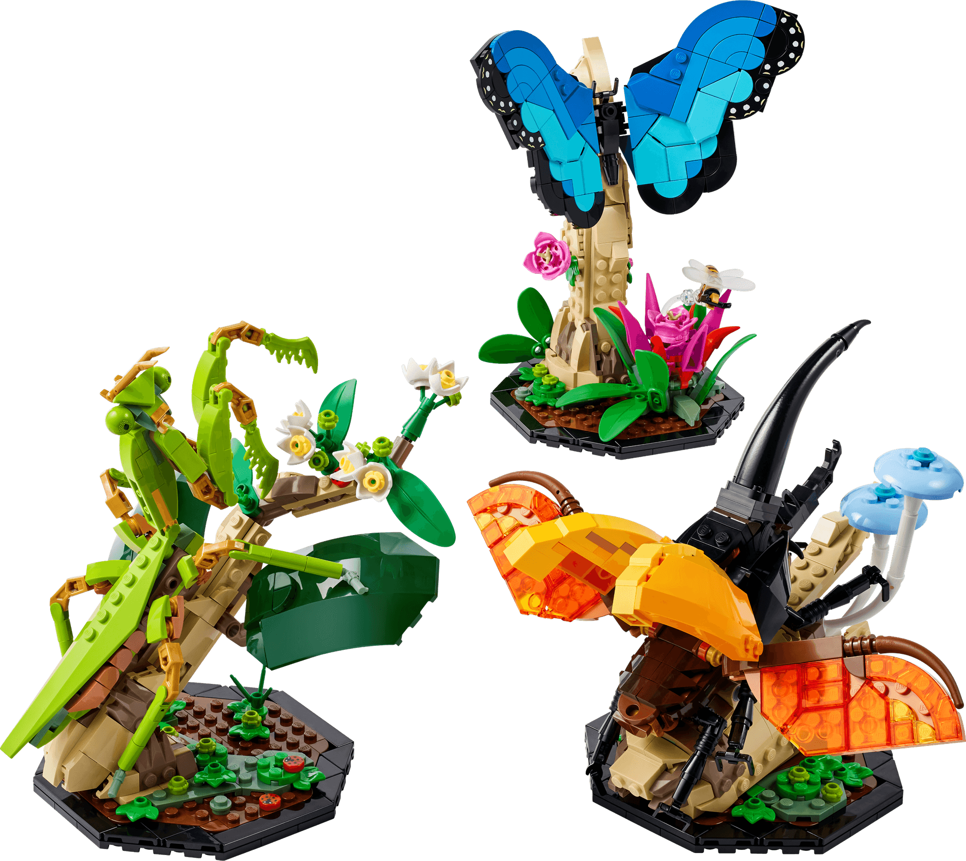 The Insect Collection collectible