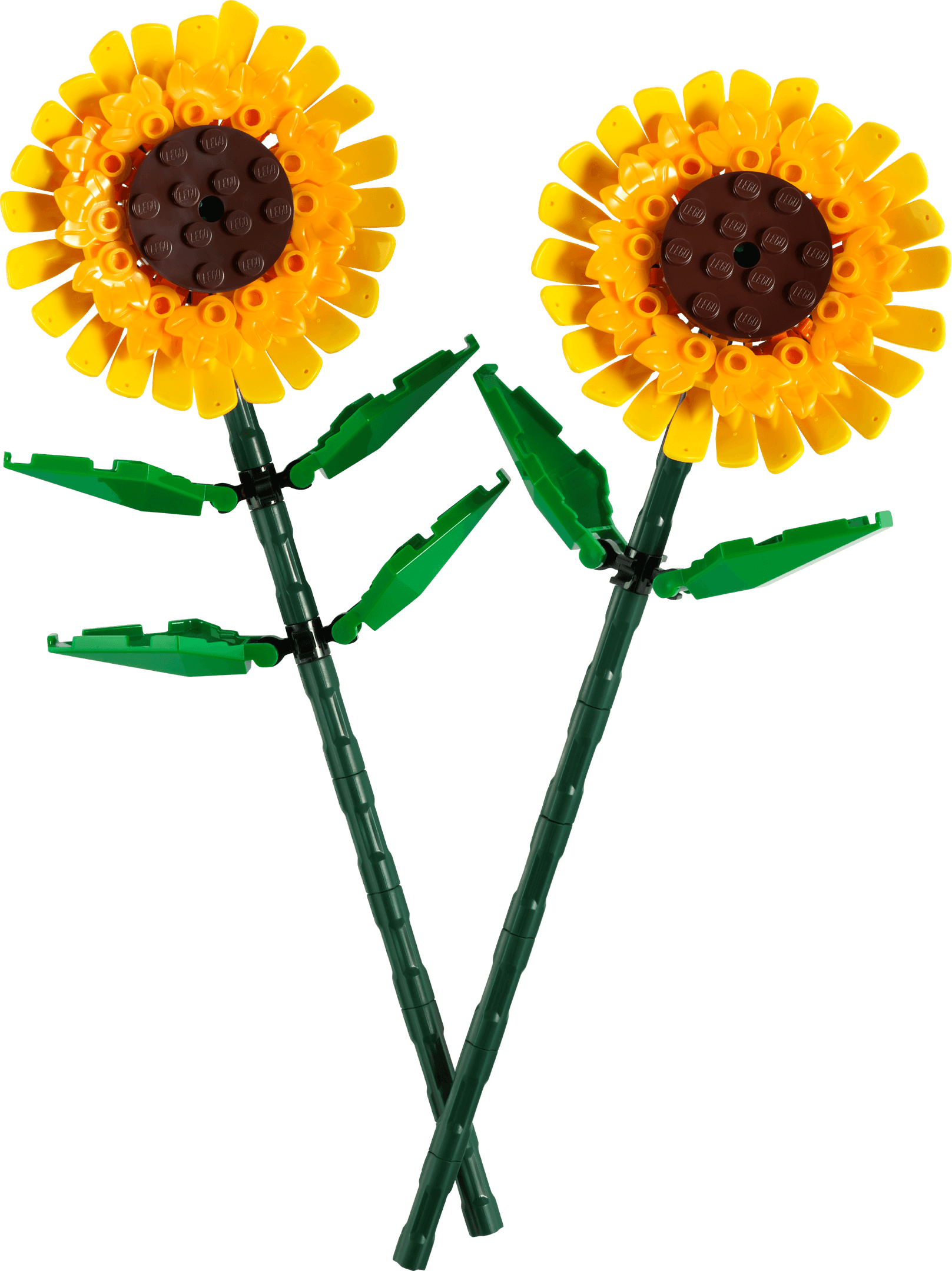 Sunflowers collectible