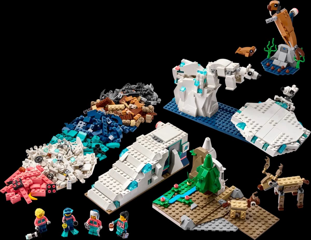 Arctic Animals Science Kit collectible