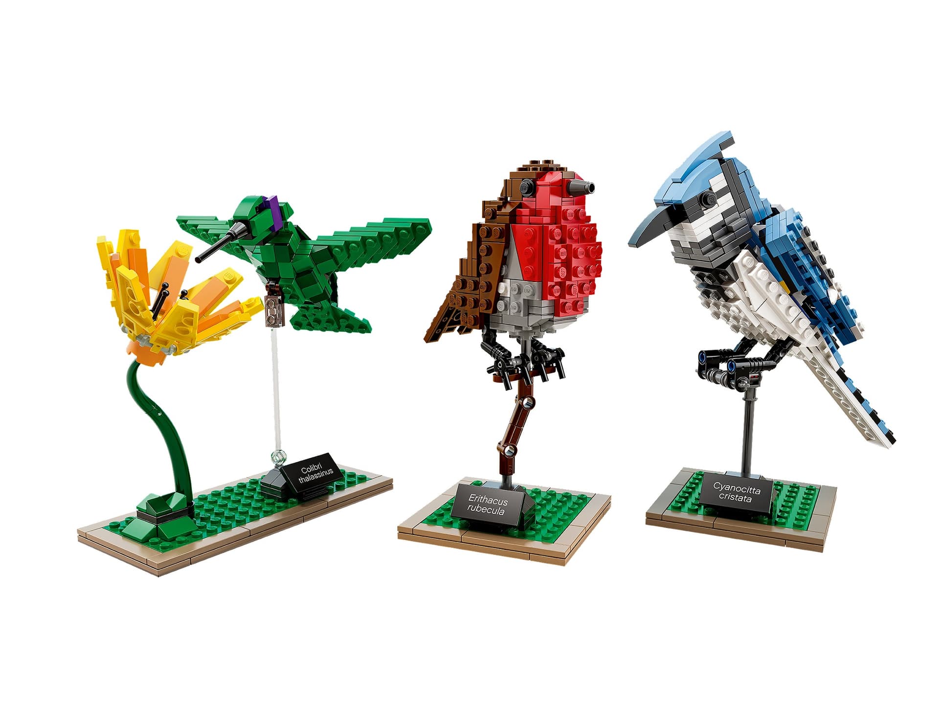 Birds collectible
