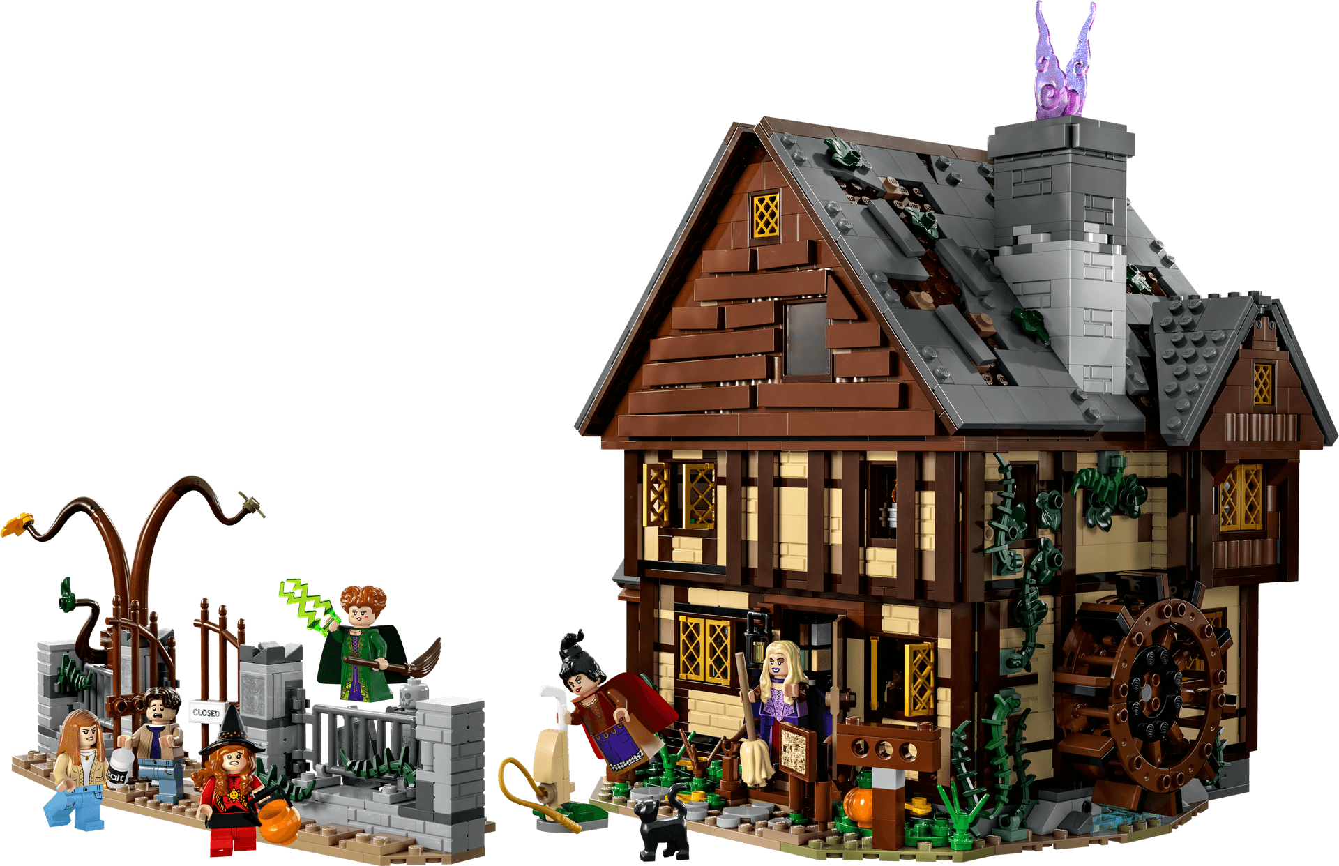 Hocus Pocus collectible